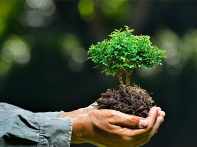 環(huán)境監(jiān)測(cè)